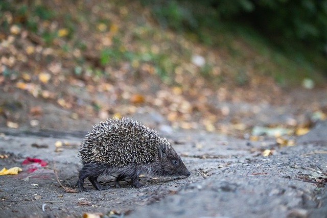 够注入新活 够注入新活