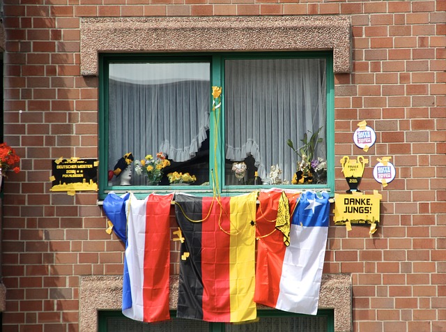 支持组委会 支持组委会