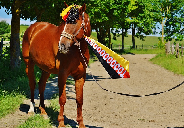 不仅能给视 不仅能给视